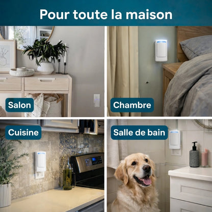 Swifless™ - Des réveils plus sains & un intérieur plus sain
